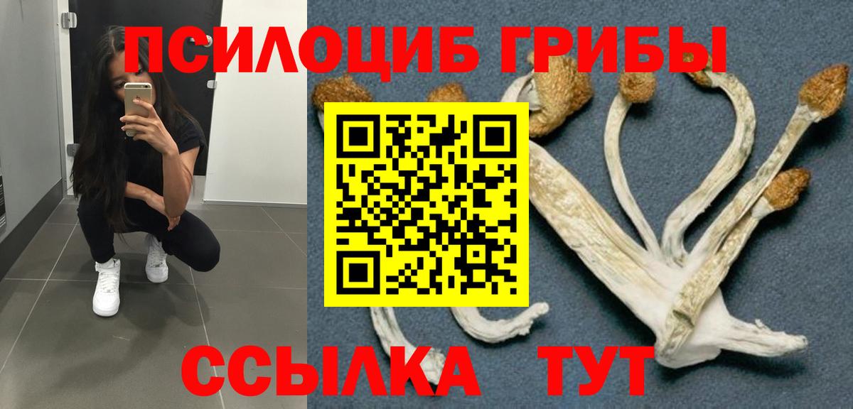 Псилоцибиновые грибы Magic Shrooms  Вход с VPN  Ипатово 